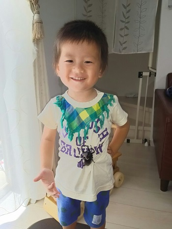 4日・国産のカブトムシとキャンカーレンタル!