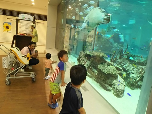 12日・日曜日のライカムはヤバ過ぎる!