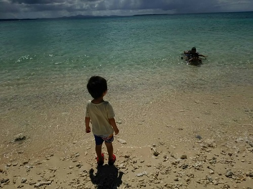 24日・オキナワトカゲを捕まえました!