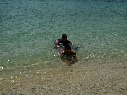 24日・オキナワトカゲを捕まえました!