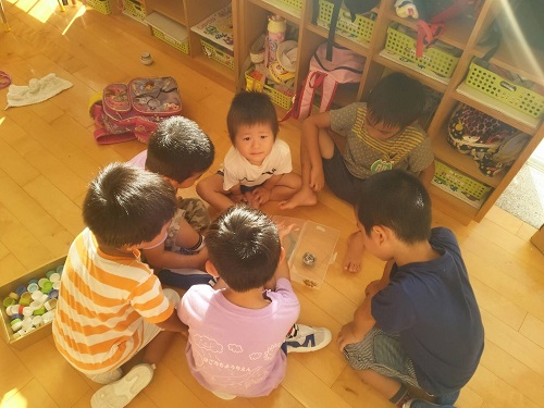 29日・バンクに作った自分専用ベッドに大喜び!