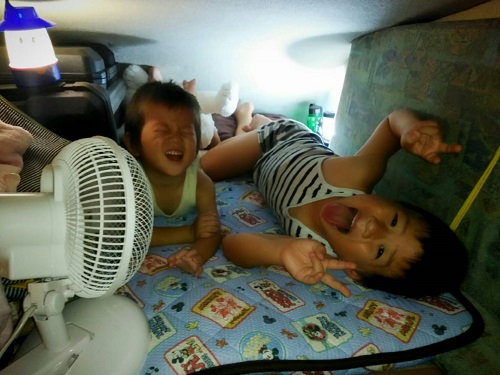 29日・バンクに作った自分専用ベッドに大喜び!