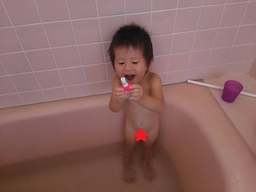 29日・バンクに作った自分専用ベッドに大喜び!