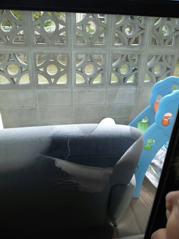 6日・津田サイエンスヒルズで。