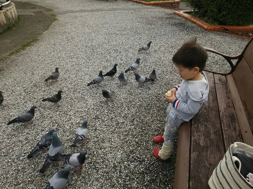 24日・ニコニコモンスター!