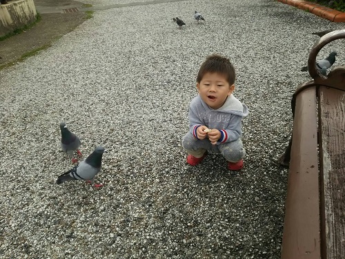 24日・ニコニコモンスター!