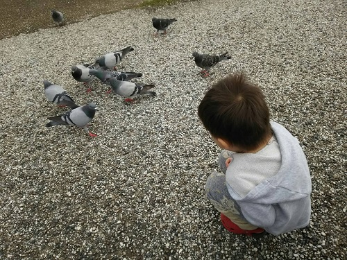 24日・ニコニコモンスター!