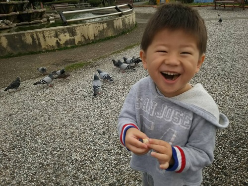 24日・ニコニコモンスター!