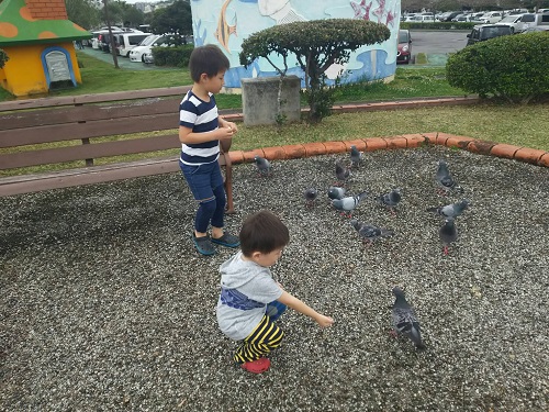 25日・水抜き(ドライアウト)成功!