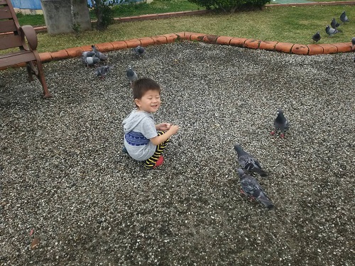 25日・水抜き(ドライアウト)成功!