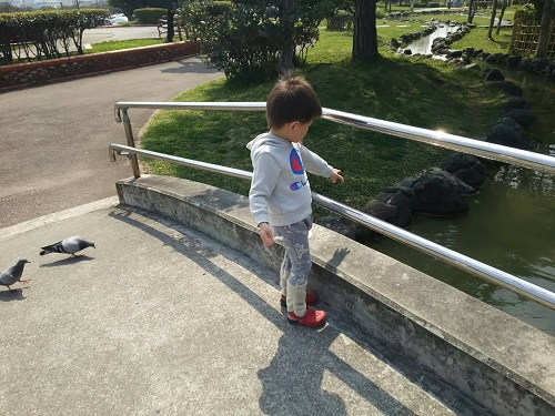 27日・食べ過ぎ警報発令中!