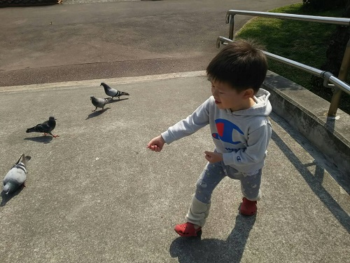 27日・食べ過ぎ警報発令中!