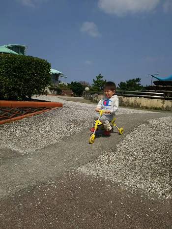 27日・食べ過ぎ警報発令中!