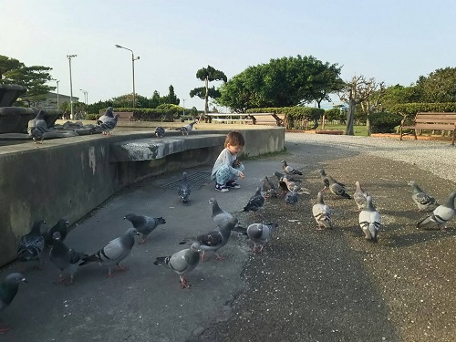 13日・初めてのお使いと家庭訪問!