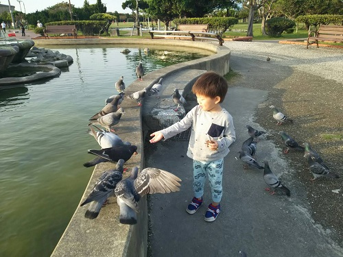 13日・初めてのお使いと家庭訪問!