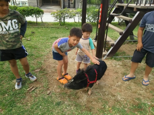 19日・玉家名護店の沖縄そば!