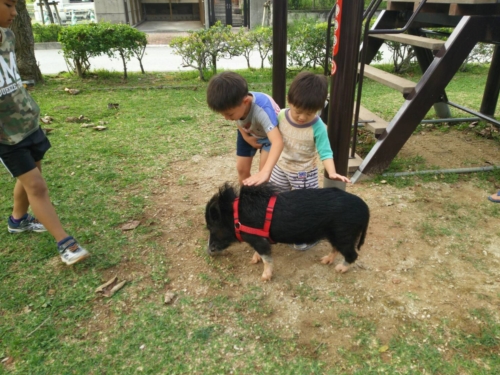 19日・玉家名護店の沖縄そば!