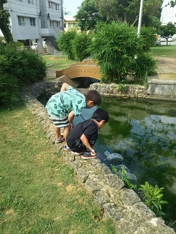 6日・送別会で回転寿司!