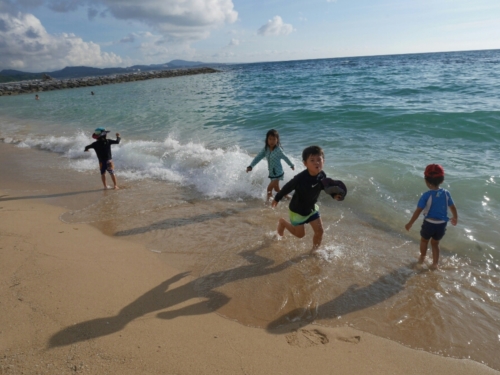 12日・タイガービーチでウミガメ発見!