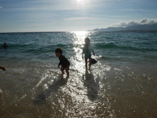 12日・タイガービーチでウミガメ発見!