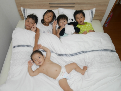 12日・タイガービーチでウミガメ発見!