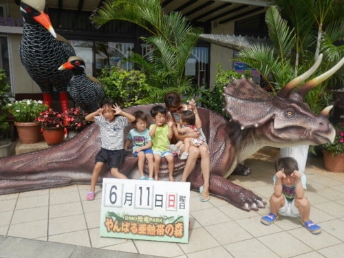 12日・タイガービーチでウミガメ発見!