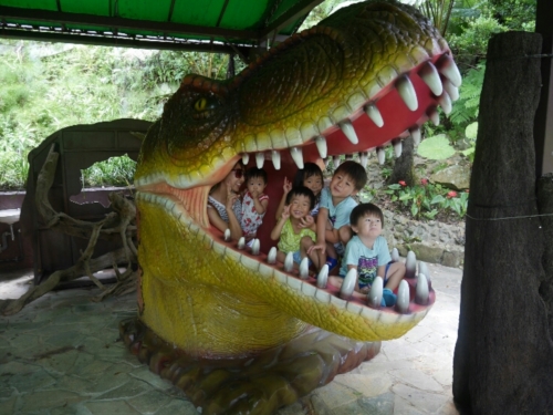 12日・タイガービーチでウミガメ発見!