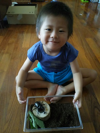 6日・カブトムシに大喜び!