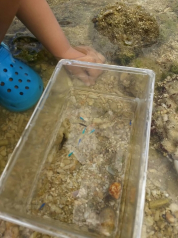 8日・ぎのわんシーパーティで大喜び!