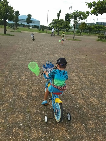 10日・自転車とセミ獲りと。