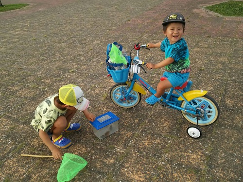 10日・自転車とセミ獲りと。