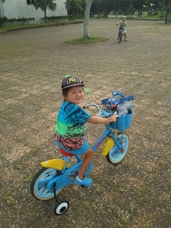 10日・自転車とセミ獲りと。