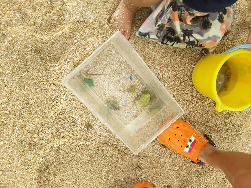 12日・夕方からはやっぱり海!