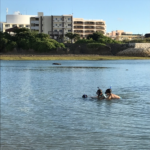 25日・従兄弟と砂辺でシュノーケル!