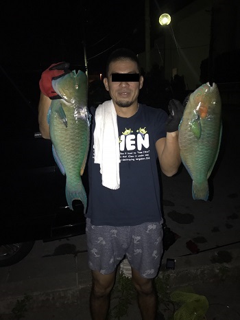 19日・夜の素潜りが楽しすぎる!