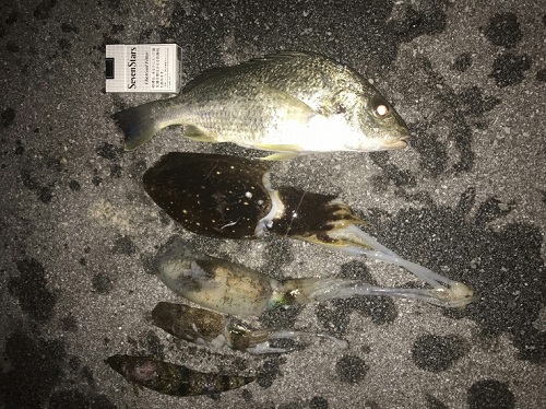 19日・ピンクのおじさん!