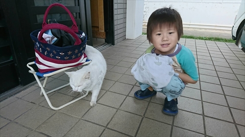 11日・ニャーコの家出とサウナ会!