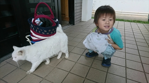 11日・ニャーコの家出とサウナ会!