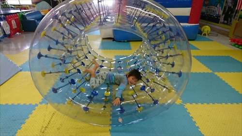 2日・スーパーフライデーで吉野家の牛丼ディナー!