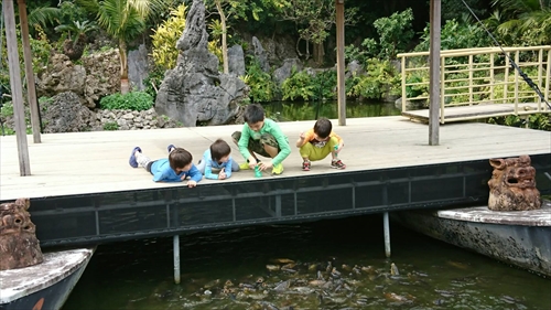 24日・沖縄満喫プラン!