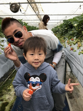 1日・帰省4日目はいちご狩りと温泉宿!