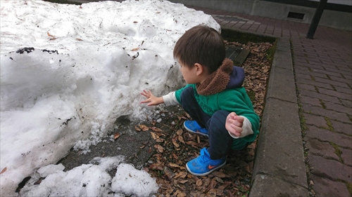 2日・帰省5日目は小岩井農場とわんこそば!