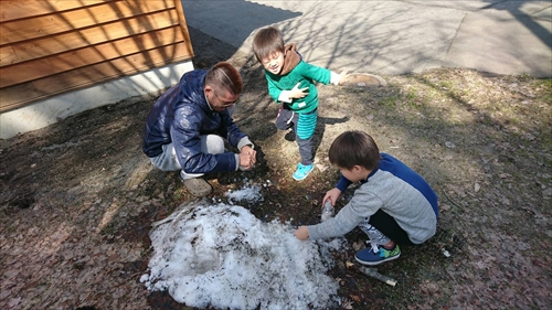 2日・帰省5日目は小岩井農場とわんこそば!