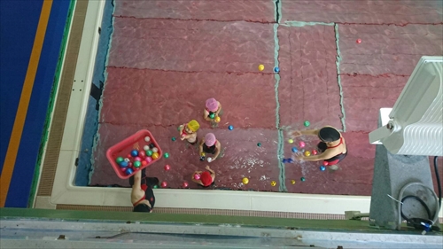 5日・無料体験からの入会!