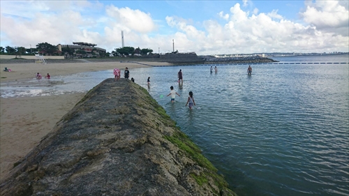 7日・夢屋酒場のチーズタッカルビ!