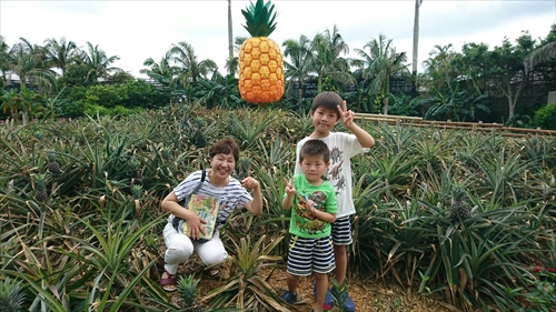 18日・北部観光一式!