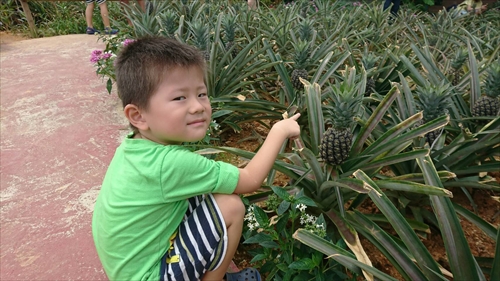 18日・北部観光一式!