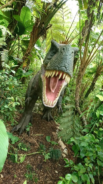 18日・北部観光一式!