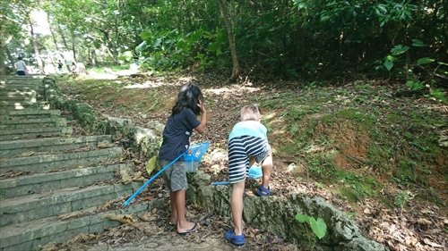 23日・プレミアム焼肉祝勝会!