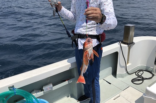 18日・オフィスに泊まり込み!